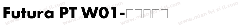 Futura PT W01字体转换